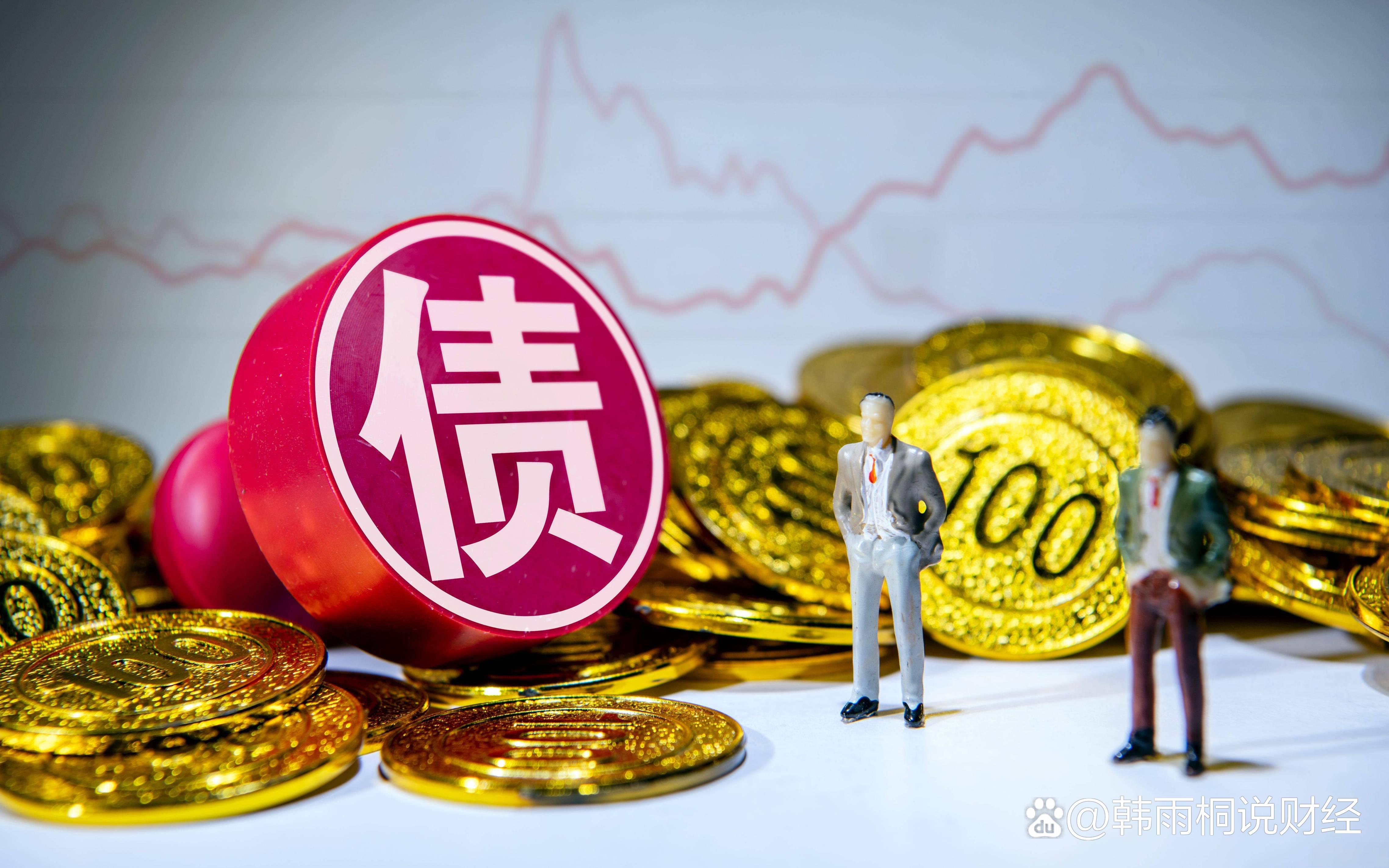 再融资信息披露(再融资信息披露的目的)德阳市