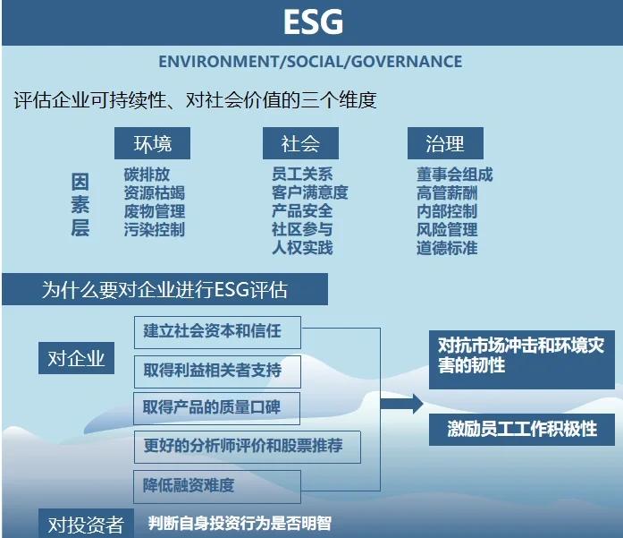 双碳战略咨询服务(双碳战略是什么意思)德阳市